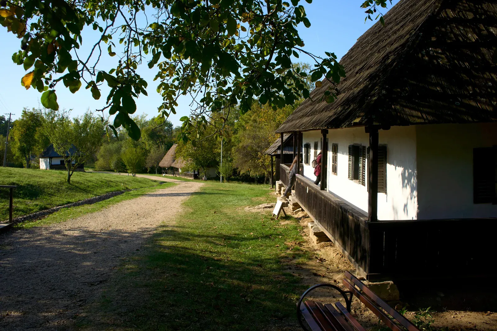 The potter's house from Josenii Bârgăului, with its porch and shingle roof