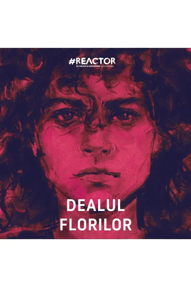 Dealul florilor 14+