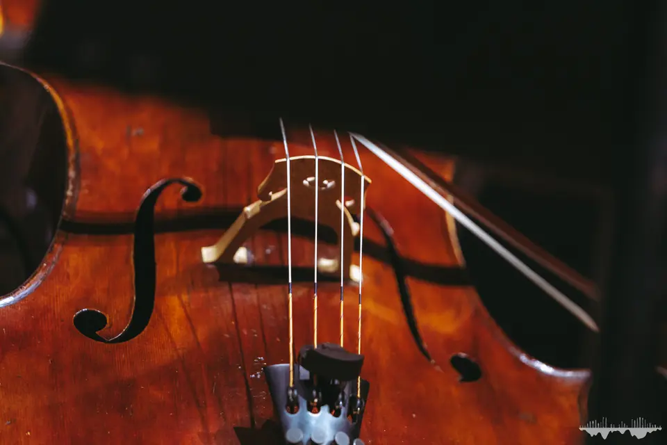 Recital cameral