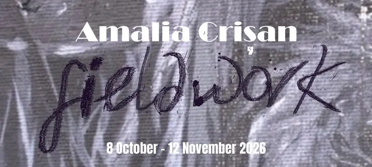 Fieldwork by Amalia Crisan