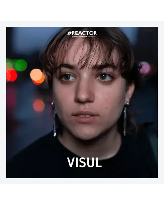VISUL 14+