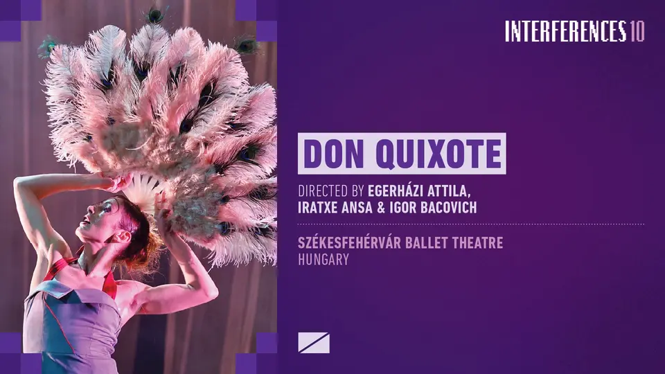 Don Quixote · Interferences 10